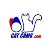 Cat Cams